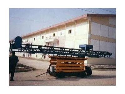 ����ʽ��ʳ��ֻ�